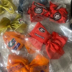 Georgia Bulldogs and Florida Gators Hair Bows